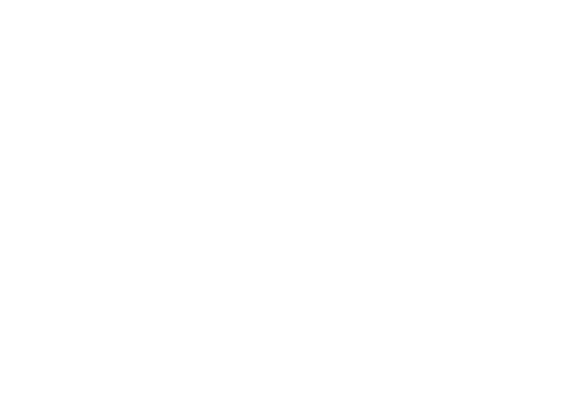 logo bs professional
